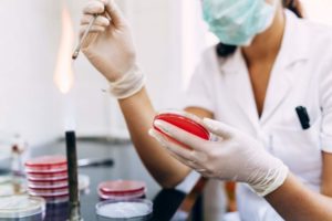 licence pro en alternance bac +3 : Biologie analytique et expérimentale, parcours microbiologie
