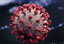 coronavirus