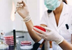 licence pro en alternance bac +3 : Biologie analytique et expérimentale, parcours microbiologie